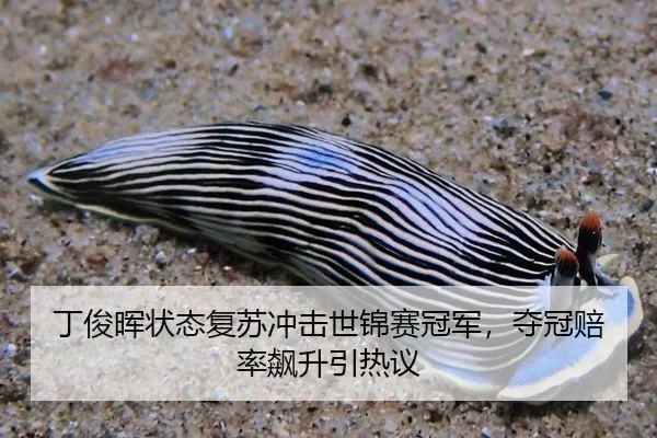 丁俊晖状态复苏冲击世锦赛冠军，夺冠赔率飙升引热议