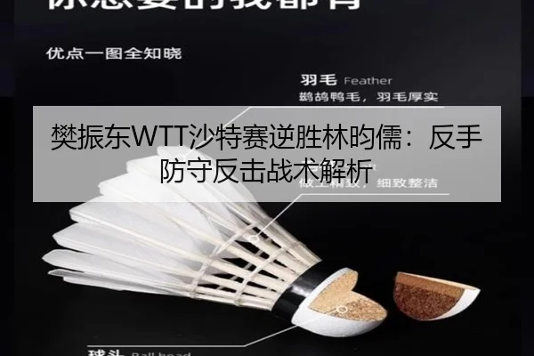fan-zhen-dong-sha-te-sai-ni-sheng-lin-yun-ru-fan-shou-fang-shou-fan-ji-zhan-shu-jie-xi-3-396.jpg