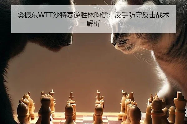 樊振东WTT沙特赛逆胜林昀儒：反手防守反击战术解析
