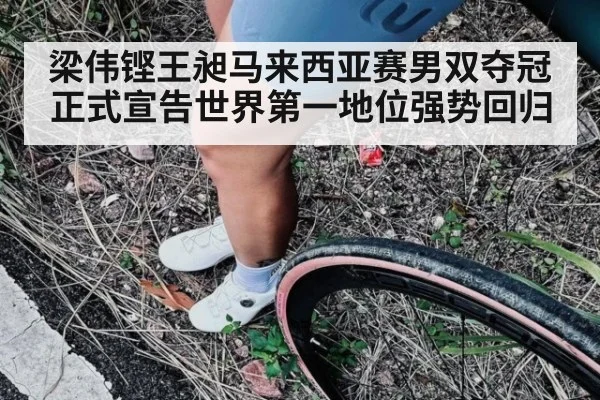 梁伟铿王昶马来西亚赛男双夺冠正式宣告世界第一地位强势回归