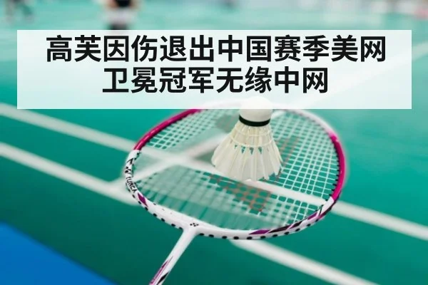高芙因伤退出中国赛季美网卫冕冠军无缘中网