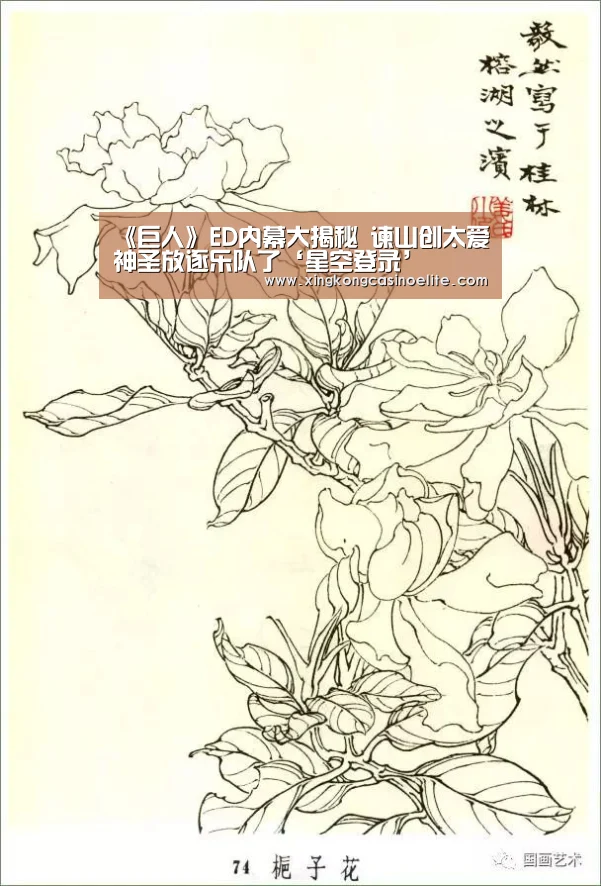 星空官网