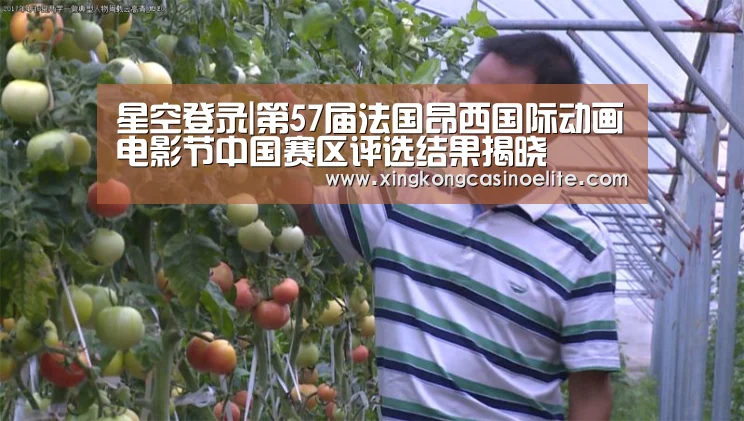 星空登录|第57届法国昂西国际动画电影节中国赛区评选结果揭晓(图1) 星空真人